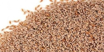 Picture of Fudco Whole Isabgol 100g