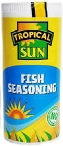 TS Fish Seasoning 100g