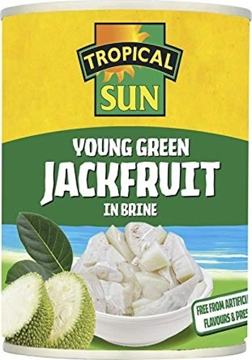 Tropical Sun Young Green Jack Fruit in Brine 560g