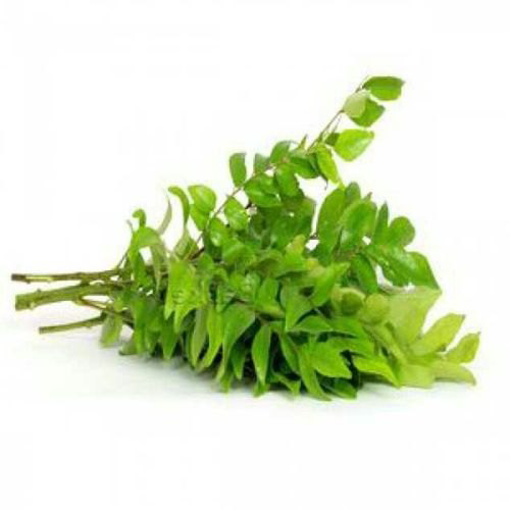 Curry Leaves Bunch