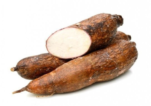Fresh Cassava Whole