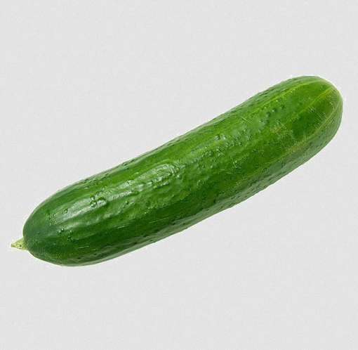 Fresh Cucumber Single