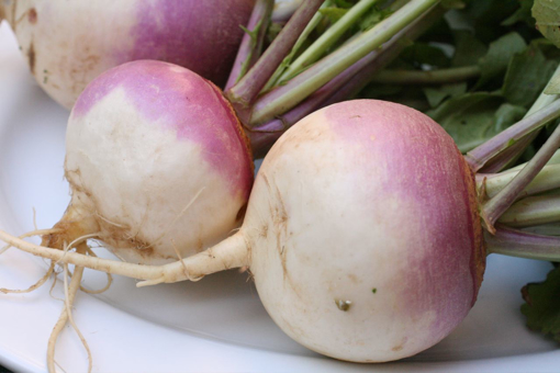 Fresh Turnip Approx 500g