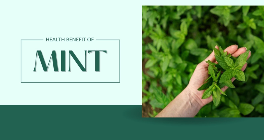 Health Benefits of Mint