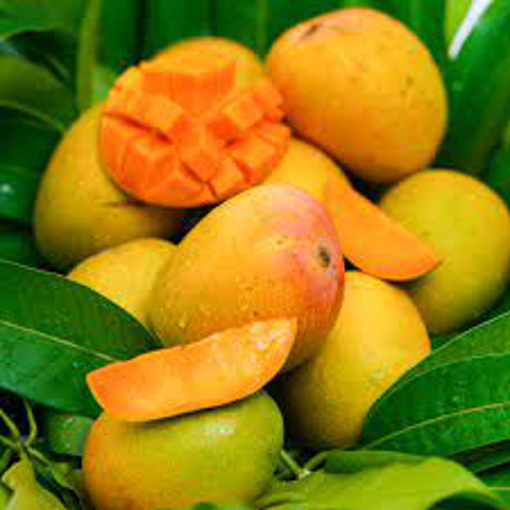 Fresh Alphonso Mangoes (Appx. 9-12 Pcs)
