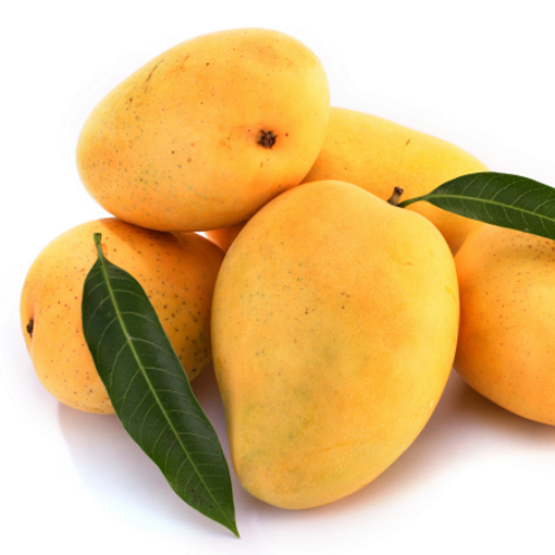 Fresh Alphonso Mangoes (Appx.5-6 Pcs)